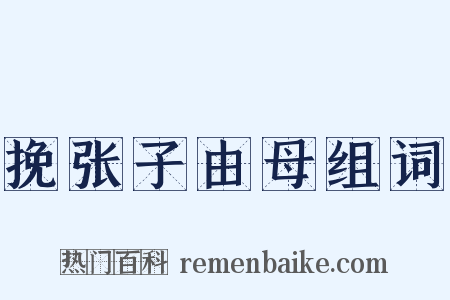 挽张子由母组词是什么意思的图片